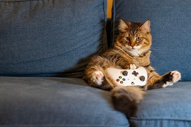 Las mejores estrategias para triunfar en videojuegos de acción